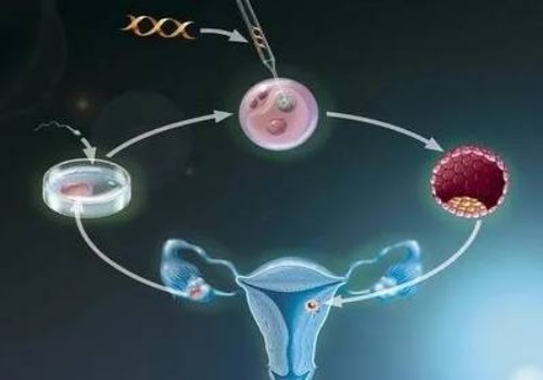 母乳不够充足的解决方法,这些能够有效帮助新妈妈解决烦恼