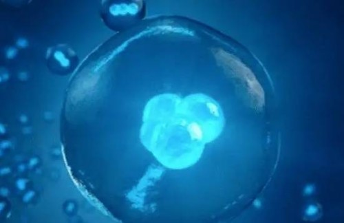 a卵b怀有血缘关系吗,a卵b怀好不好 a卵b怀有血缘关系吗,a卵b怀好不好